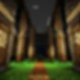Diverse Minecraft survival server types
