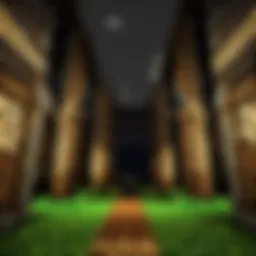 Diverse Minecraft survival server types