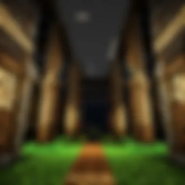 Diverse Minecraft survival server types