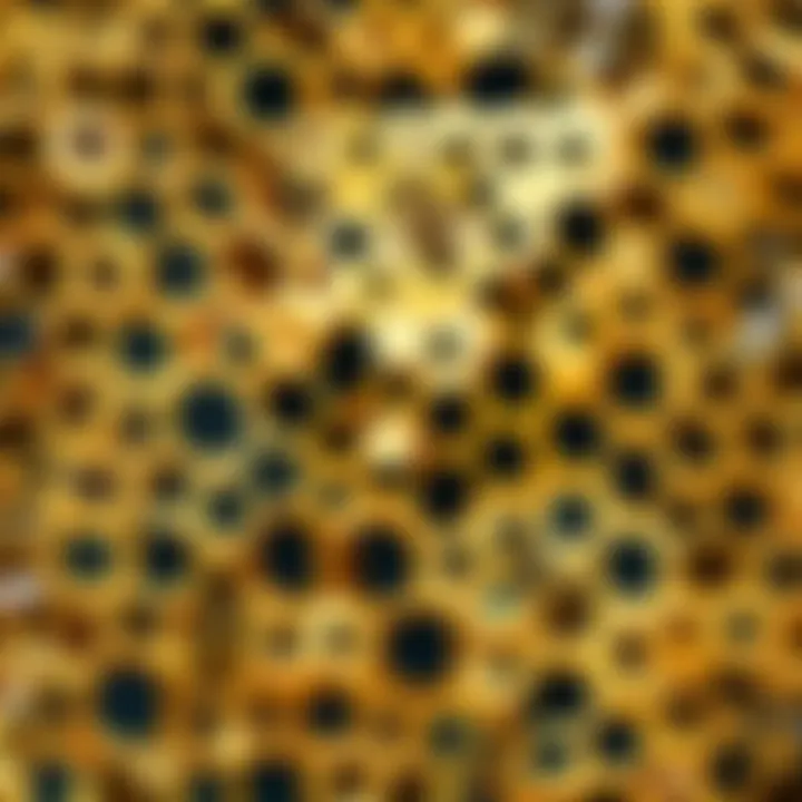 Essential tools for beekeeping in Minecraft displayed