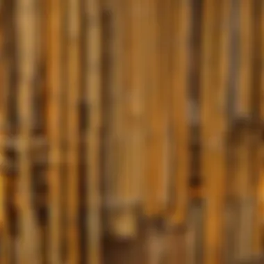 Intricate Structure Using Bamboo Wood Slabs An intricate build featuring bamboo wood slabs as the primary material