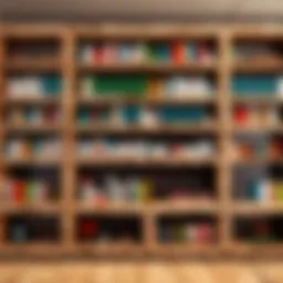 Modern minimalist bookshelf design in Minecraft