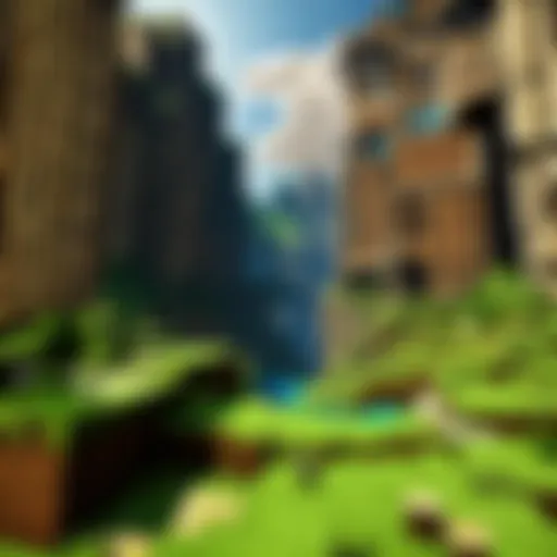 Virtual Minecraft world illustration