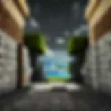 An overview of Minecraft server types and their features