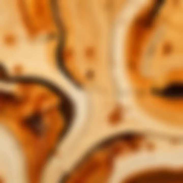 A striking live edge maple wood slab that emphasizes natural beauty.
