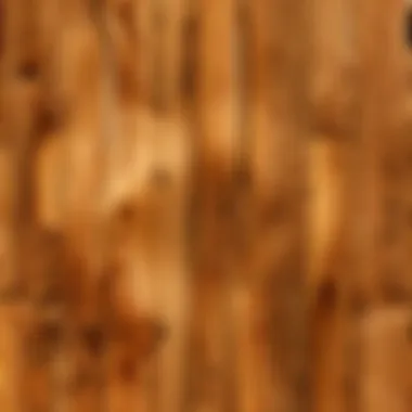 A collection of oak wood slabs arranged artistically, highlighting their versatility.