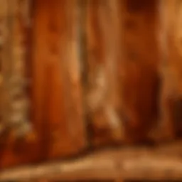 A beautifully crafted walnut wood slab showcasing its rich grain patterns.