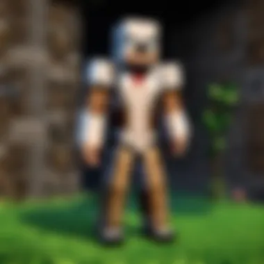 A developer coding a Minecraft server plugin