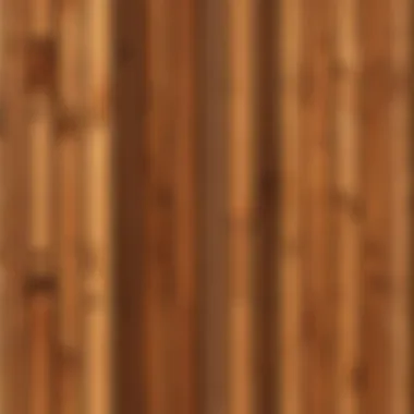 Contemporary minimalist wooden fence design