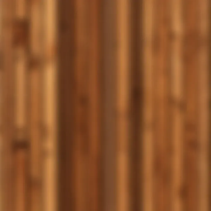 Contemporary minimalist wooden fence design