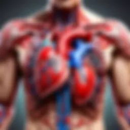 Cardiologist performing advanced diagnostic procedure