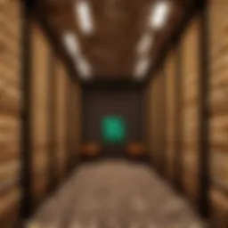 Diverse types of Minecraft servers