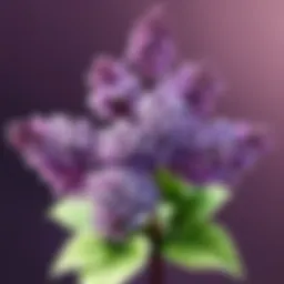 Mystical Lilac Blossom