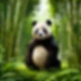 Majestic Panda in Bamboo Forest