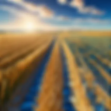 Bird's eye view of expansive wheat fields under a clear blue sky