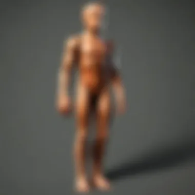 Installation guide for Morph Mod highlighting key steps