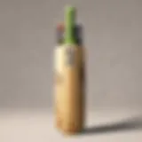 Cricket Bat with Pixelated Theme