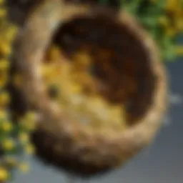 A close-up view of a bee's nest showing detailed structure and bee activity