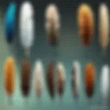 Diverse feather types in Minecraft