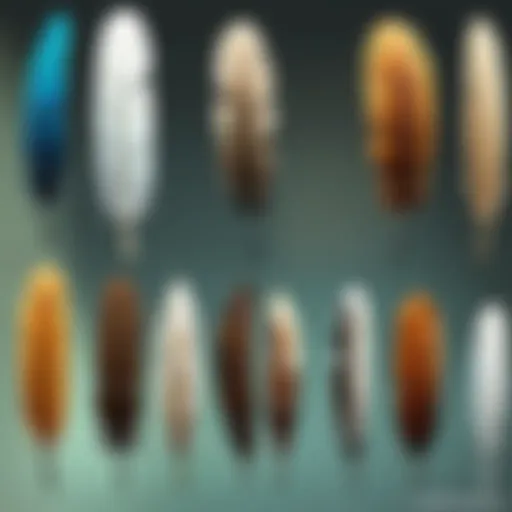Diverse feather types in Minecraft