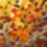 A detailed view of a honeycomb frame glistening with honey