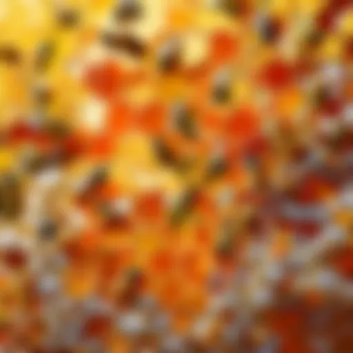 A detailed view of a honeycomb frame glistening with honey