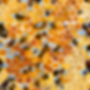 Different jars showcasing various types of honey