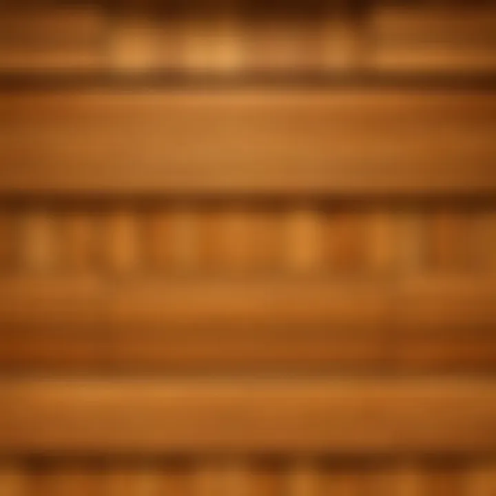 A close-up of the unique properties and textures of oak slats in Minecraft