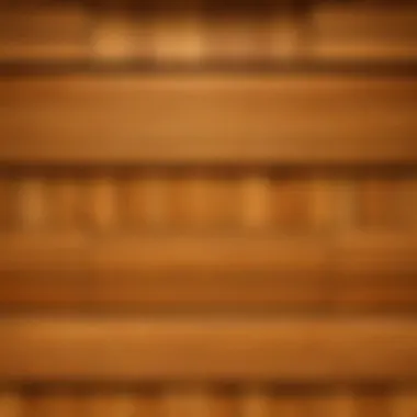 Distinctive Oak Slat Textures A close-up of the unique properties and textures of oak slats in Minecraft