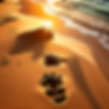 Footprints in Sand at Sunrise